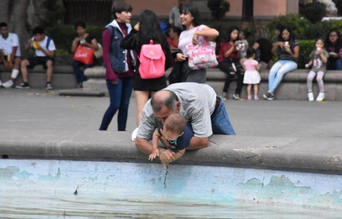 Sie schlagen vor, ein Wandgemälde zum Gedenken an den 100. Jahrestag der Feier des Vatertags zu schaffen – El Sol de San Luis
