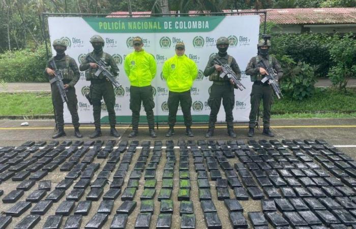 Kolumbianische Polizei beschlagnahmte 500 Kilo reines Kokain von „unsichtbarem Drogenhändler“, Partner des „Golf-Clans“