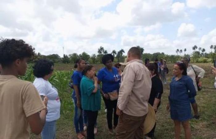 Artikel: Das FMC in Matanzas mit Nießbrauchsgrundbesitzerinnen