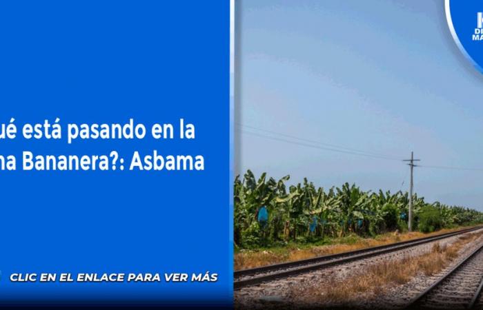 Was passiert in der Bananenzone?: Asbama