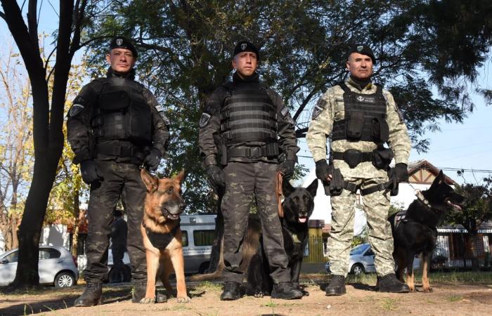 Inca, der älteste „Agent“-Hund des Strafvollzugsdienstes von Córdoba, geht in den Ruhestand