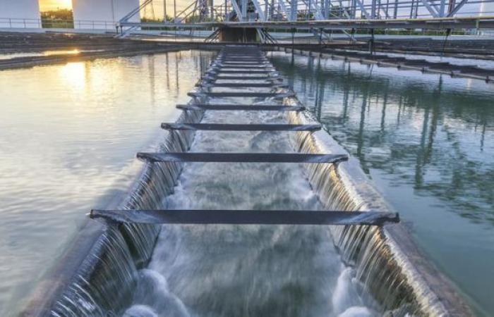 Wird die jüngste Preisbewegung der California Water Service Group (NYSE:CWT) durch ihre schwachen Fundamentaldaten gestützt?