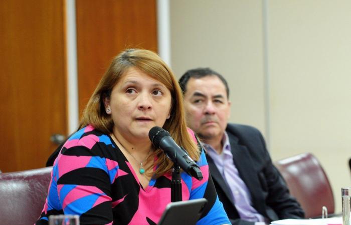 Die Debatte über den Zustand der von der EPAS betriebenen Aquädukte erreichte die Legislative von Neuquén
