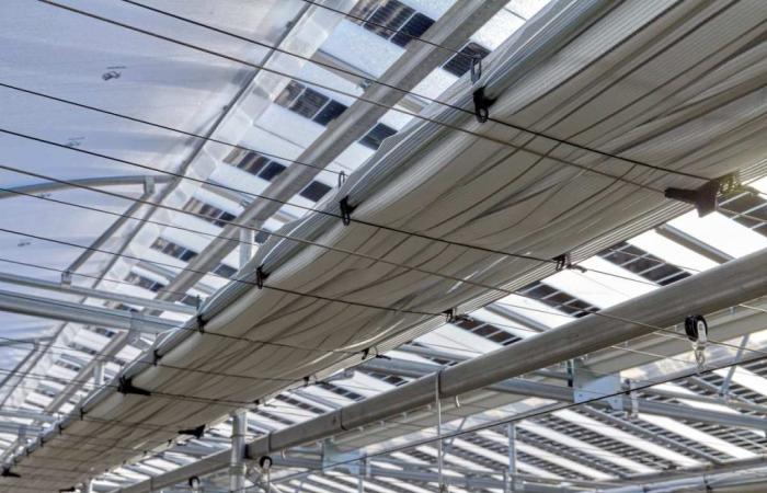 Französischer Landwirt eröffnet die erste Erdbeeranbauanlage mit halbtransparenten Photovoltaikmodulen und dynamischen Sonnenschutzschirmen