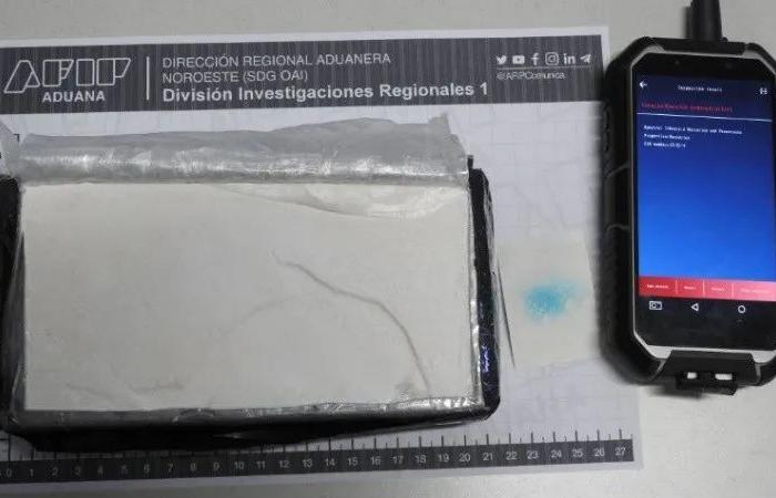 Sie fanden Kokain in einem Bus von Salta – Nuevo Diario de Salta | Das kleine Tagebuch