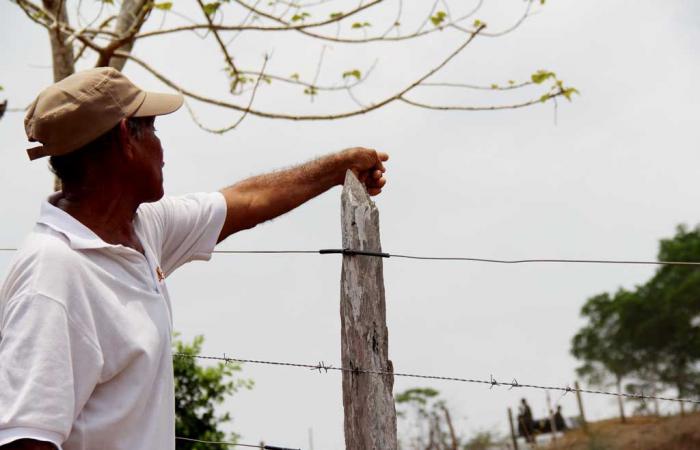 Einige Gebiete von Córdoba sind aufgrund der unsicheren Lage weiterhin für eine Landrückgabe „behindert“.