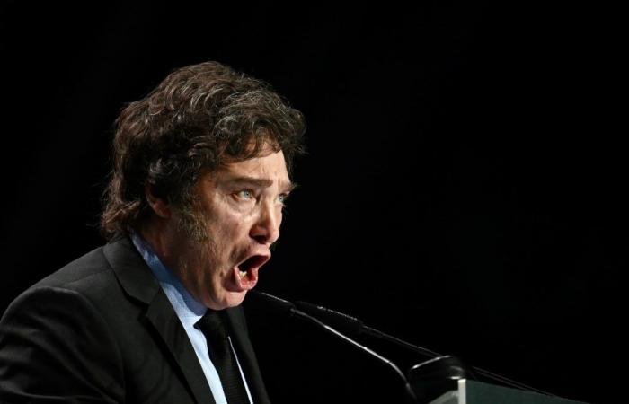 „Sie wirken abgelenkt“, attackierte Javier Milei argentinische Journalisten, um erneut Kritik an Pedro Sánchez und dem Sozialismus zu üben