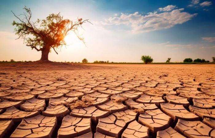 Vor welchen Herausforderungen stehen Argentinien und Lateinamerika angesichts zunehmender Dürren?