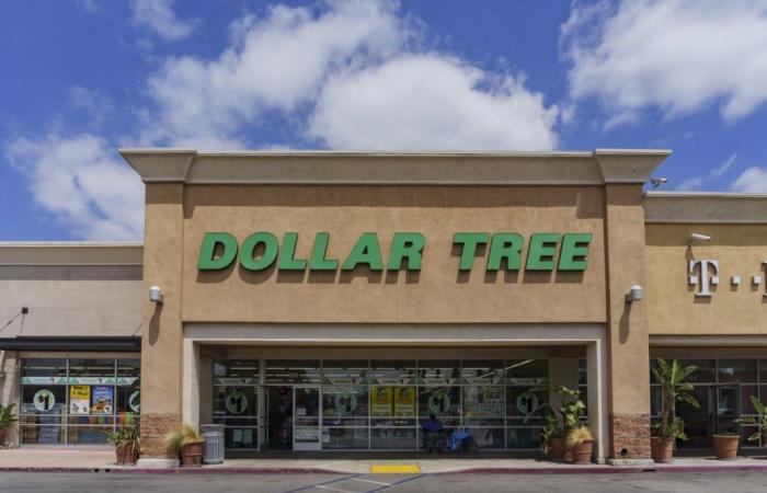 Die besten Dollar Tree-Angebote für nur 1,25 $, die Sie sich nicht entgehen lassen sollten
