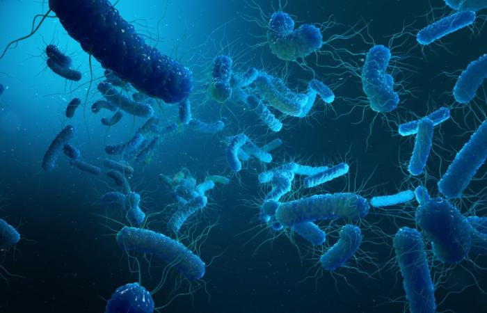 Laut WHO besteht ein „dringender“ Mangel an neuen und innovativen antibakteriellen Wirkstoffen