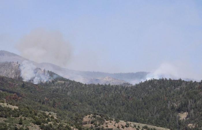 Little Twist Fire verbrennt mehr als 2.500 Acres – NBC Utah