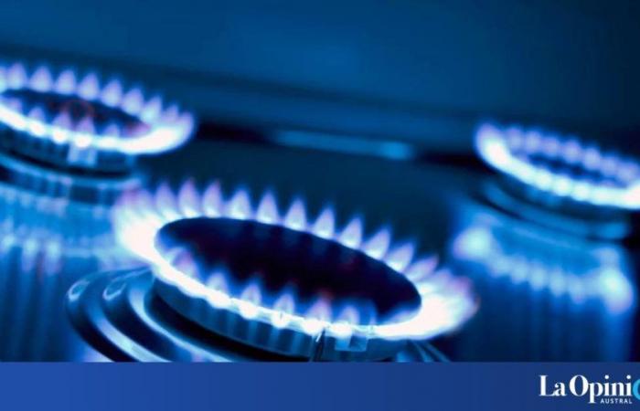 Die Bundeskammer hat die Vorsichtsmaßnahme ratifiziert, die die Unterbrechung der Gasversorgung wegen Nichtzahlung in Feuerland verbietet