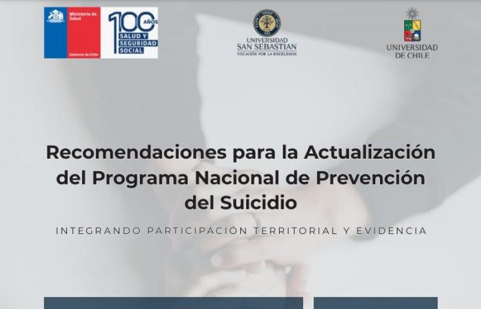 12 Empfehlungen zur Reduzierung der Selbstmordrate in Chile