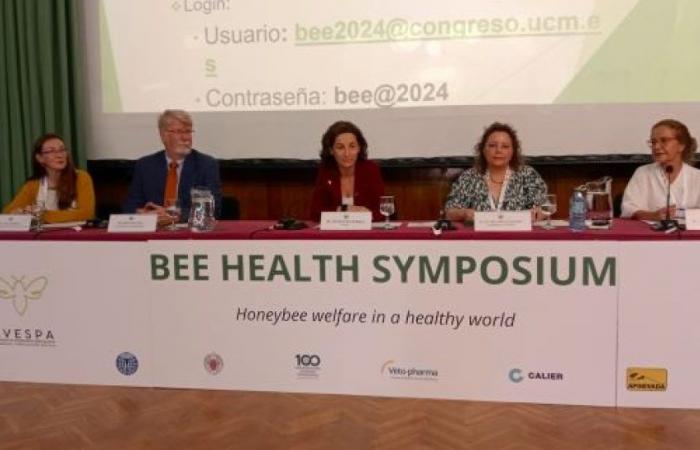Das Bienengesundheitssymposium analysiert die Auswirkungen des Tierschutzes in Bienenstöcken