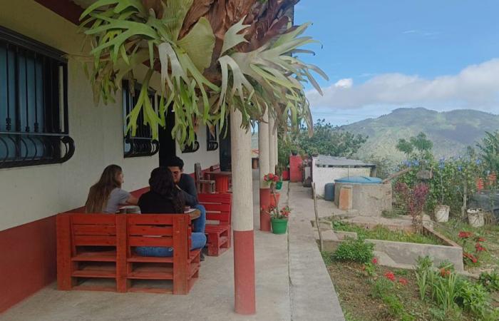 Norte de Santander: Innovation im Kaffeebereich zur Reaktivierung des Tourismus