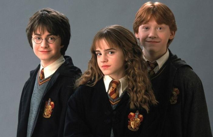 Daniel Radcliffe hat in Max einen ganz klaren Rat für die zukünftigen Produzenten der neuen Harry-Potter-Serie: „Lasst sie Kinder sein“