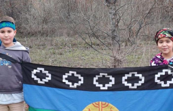 Der Stolz der Kinder, die die Mapuche-Flagge versprechen: „Es ist ein sehr großes Gefühl“