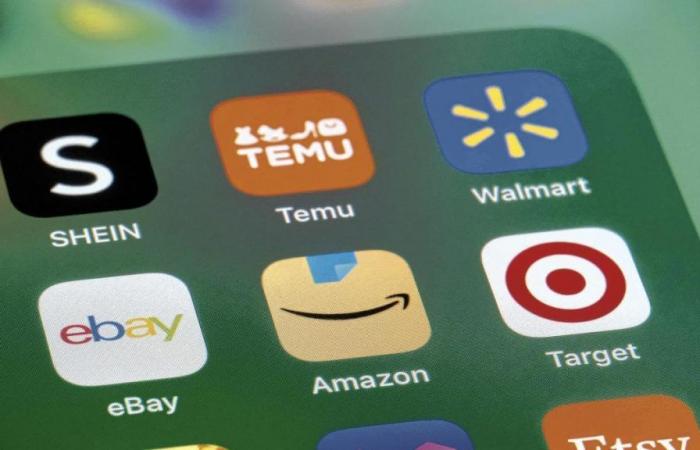 Temu, Shein, AliExpress: Online-Shopping-Apps – ist es sicher, dort einzukaufen?