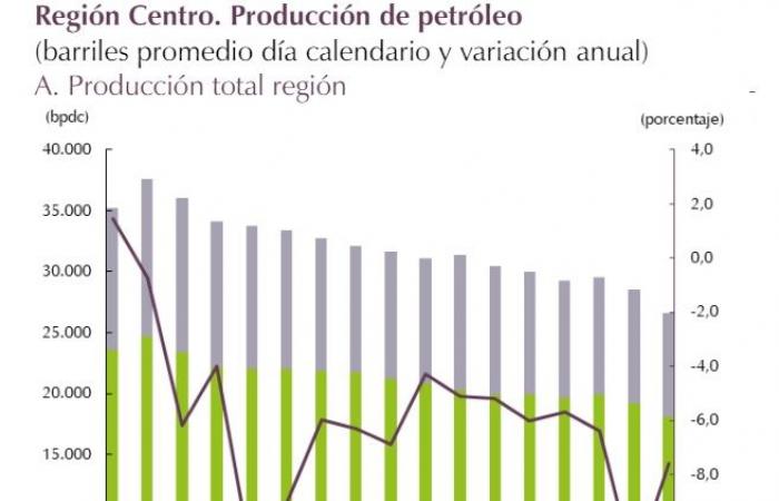 Im ersten Quartal konnte sich die Wirtschaft von Huila nicht „aufraffen“ • La Nación