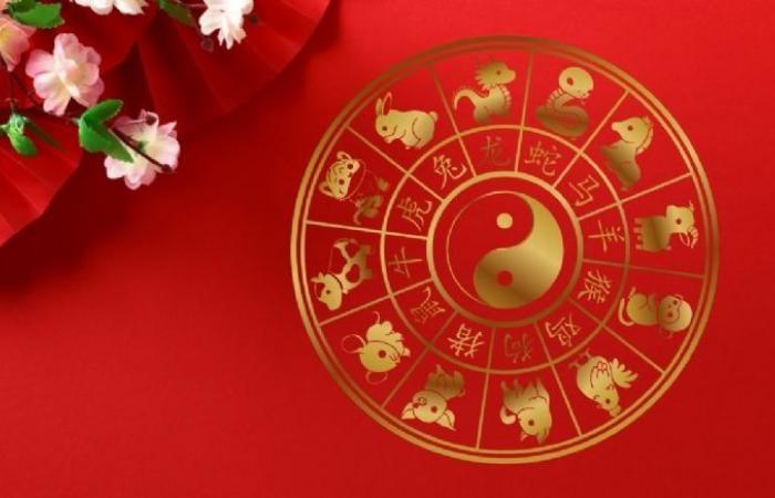 Chinesisches Horoskop: 3 Tiere, die zwischen dem 16. und 24. Juni 2024 ihre Träume durch umsichtiges Handeln verwirklichen werden