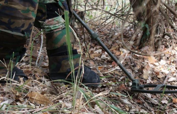In Nariño wurden zwei Soldaten durch eine Mine verletzt