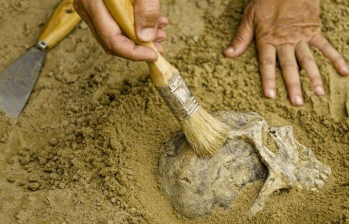 Archäologen in China hätten das Geheimnis des Ursprungs der Menschheit entdeckt; Die Entdeckung ist mehr als 70.000 Jahre alt