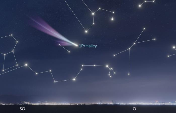 Halleyscher Komet | Nächster Besuch des Halleyschen Kometen | Wann wird der Halleysche Komet sterben?