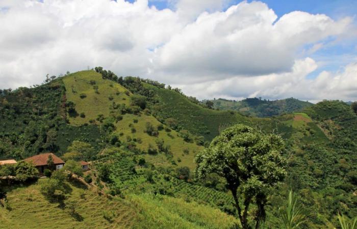 Was sind die 9 kleinsten Gemeinden in Kolumbien? Sie sind weniger als 33 Kilometer lang