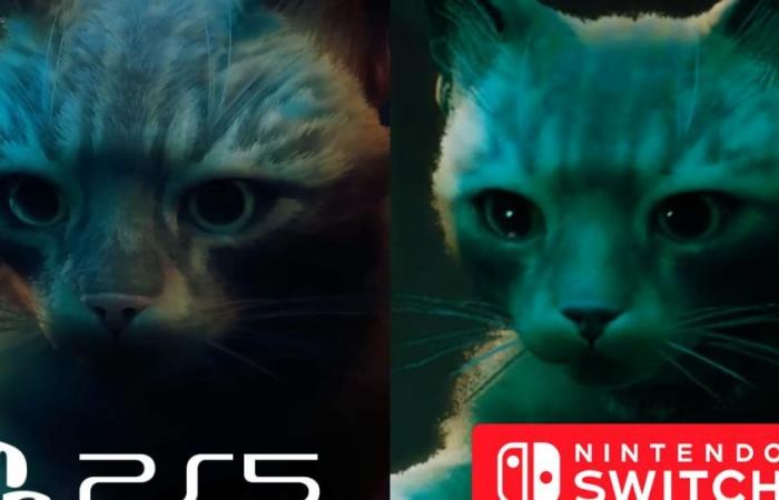 Das Katzenspiel Stray wird mit einem spürbaren Rückgang der Grafikqualität auf Nintendo Switch erscheinen