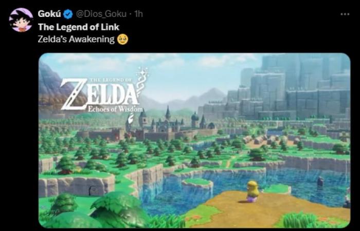 „Endlich von The Legend of Link“: Spieler reagieren auf das erste Zelda-Spiel mit Zelda in der Hauptrolle und alle Nintendo Direct-Ankündigungen