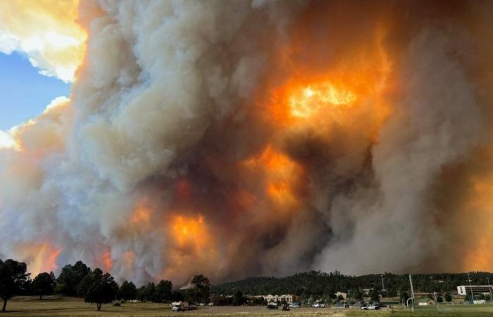 Waldbrände verwüsten Stadt in New Mexico (VIDEOS)