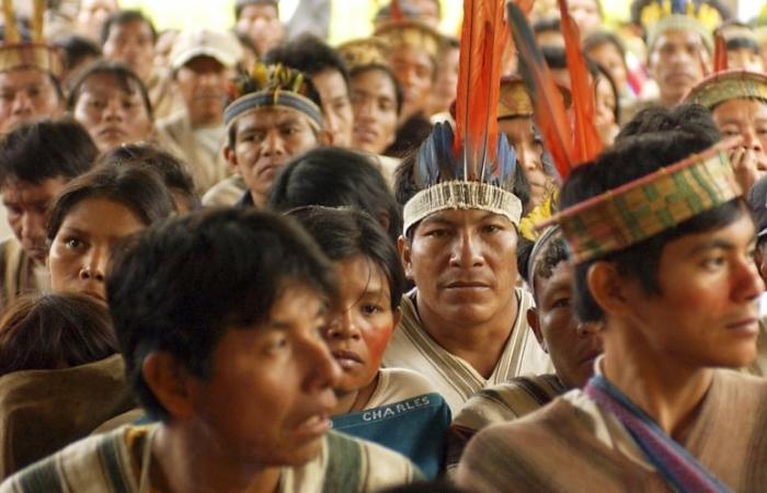Die Minister werden nach Amazonas reisen, um sich zu entschuldigen