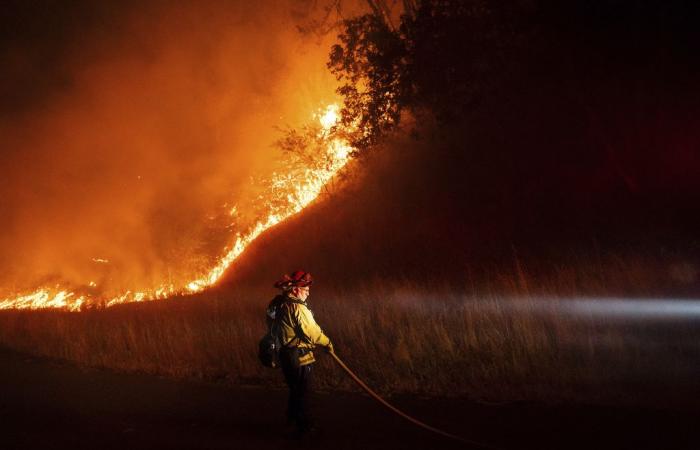 Stadt in New Mexico wegen wütendem Waldbrand evakuiert