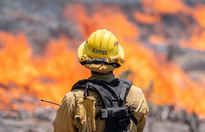 6 Waldbrände brennen in Kalifornien, während der frühe Beginn der Saison intensiver wird