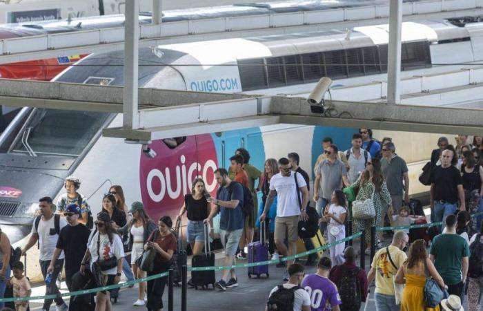 Ouigo und Iryo übertreffen Renfe bereits im Personenverkehr zwischen Valencia und Madrid