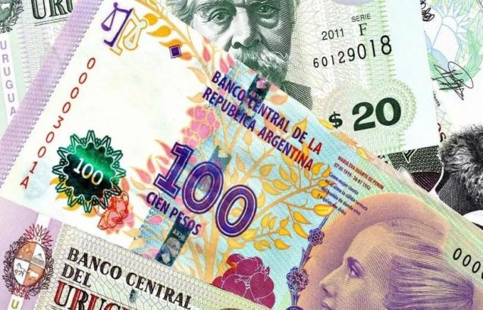 Wie kann sich das neue Maximum des blauen Dollars in Argentinien auf Uruguay auswirken?