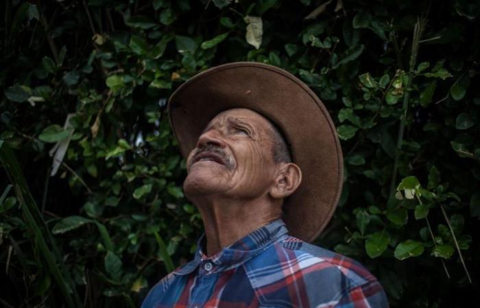 Was sich für Rentner in Kolumbien durch die historische Rentenreform von Petro ändert (und wie sie im Vergleich zu anderen lateinamerikanischen Ländern abschneidet)