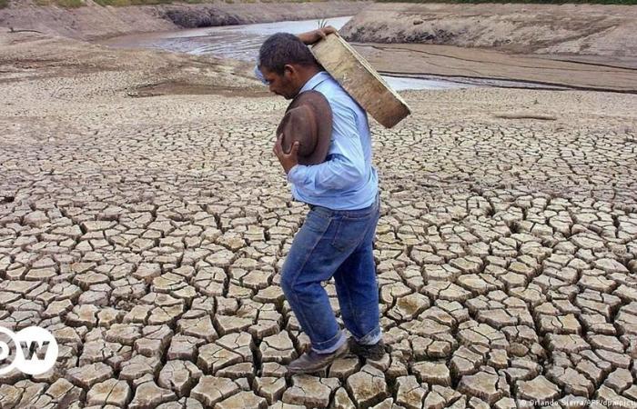 Die EU und Lateinamerika gegen Wüstenbildung und Dürre – DW – 18.06.2024