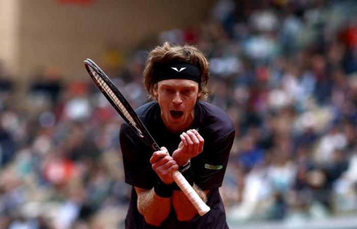Rublev trifft in Halle