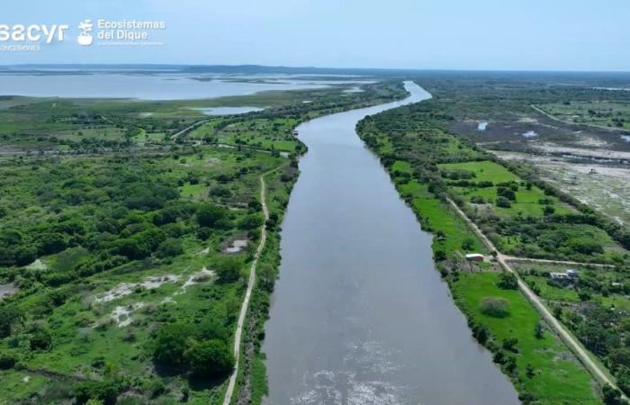 Dique Ecosystems und ANI bereiten sich darauf vor, die Auswirkungen von „La Niña“ abzumildern