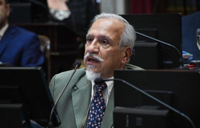 Mit Milei verbündeter Senator schlägt „Kürzung der Leistungen“ von Feuerland zur Zahlung von Renten vor