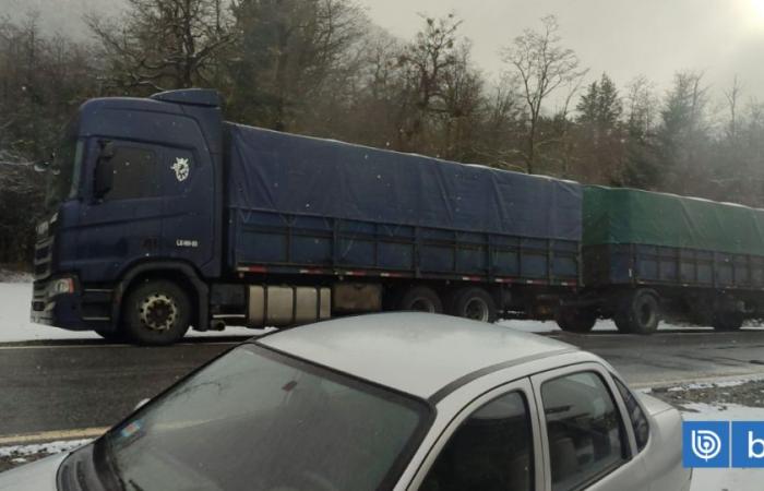 Los Lagos: Chilenische Transporteure werfen Hindernisse bei der Reise nach Argentinien aufgrund der Länge der Lastwagen vor | National