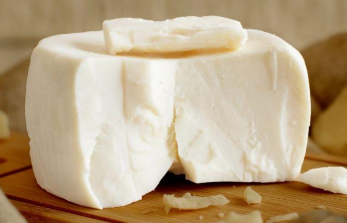 Sind Sie ein Käseliebhaber? Forscher finden neue gesundheitliche Wirkung