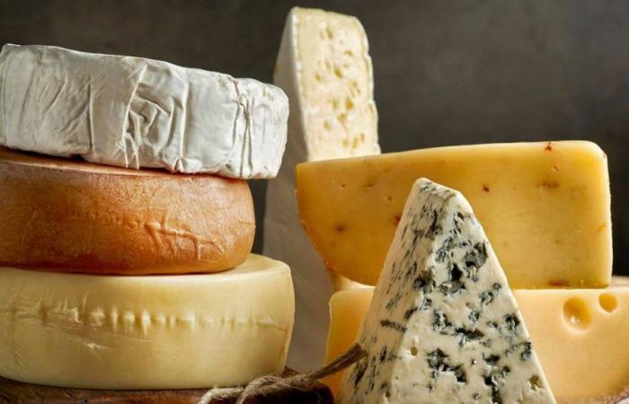 Chinesische Forscher entdecken gesundheitliche Vorteile von Käse