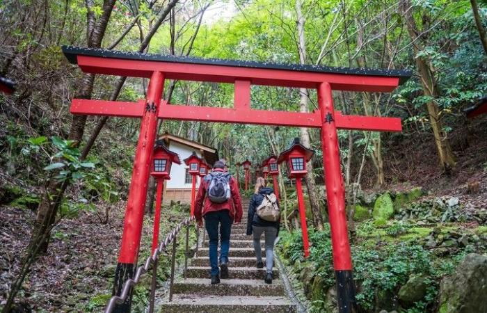 Japan hat ein Praktikumsprogramm für Argentinier eröffnet, das Reise- und Unterkunftskosten beinhaltet: So melden Sie sich an