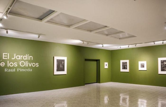 eine Ausstellung von Raúl Pineda, die im Tolima Art Museum Widrigkeiten in Kunst und Hoffnung verwandelt
