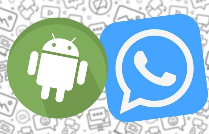 WhatsApp Plus v17.85 | So erfahren Sie, ob Ihr Android-Telefon WhatsApp Plus v17.85 installieren kann | SPORT-SPIEL