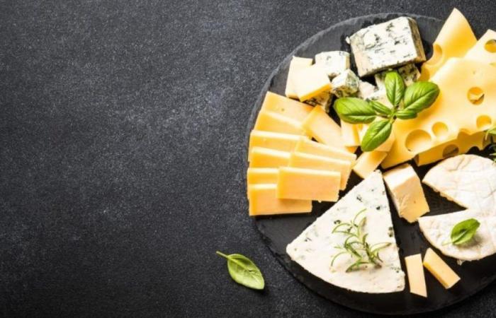 Welcher Käse ist der gesündeste? Die gesundheitlichen Vorteile des täglichen Käseessens