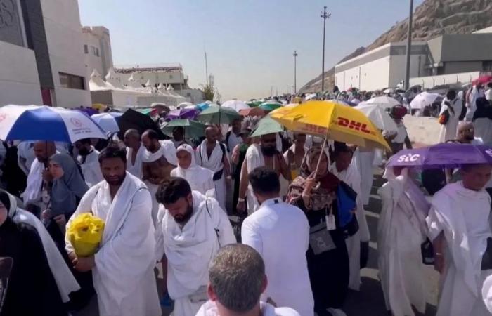 Mindestens 550 Menschen starben aufgrund der hohen Temperaturen während der jährlichen Pilgerfahrt nach Mekka