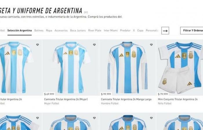 Wie sieht das neue Trikot der argentinischen Nationalmannschaft aus und wie viel kostet es bei der Copa América: die Details